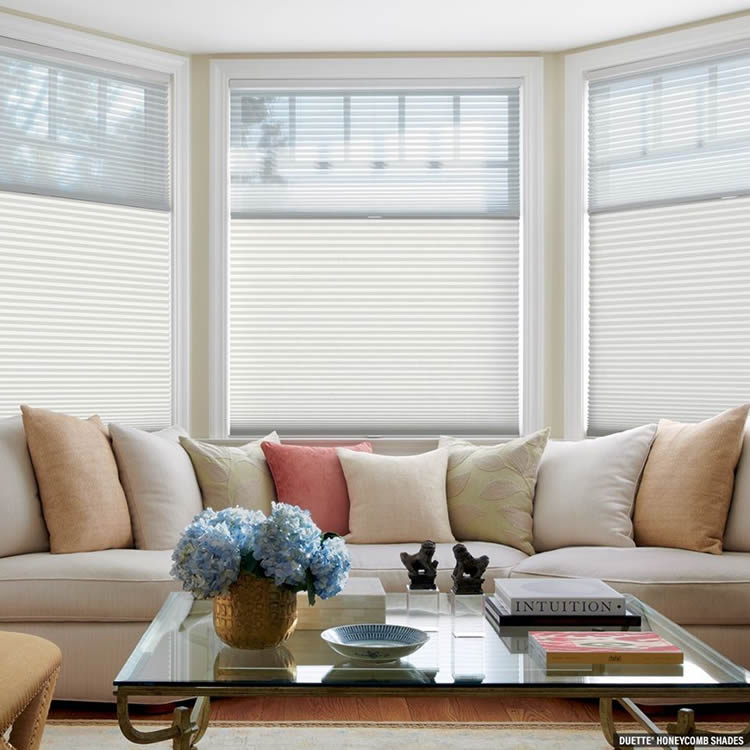 Houston TX Cellular Shades, Duette, Texas