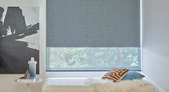 Roller Shades Hunter Douglas